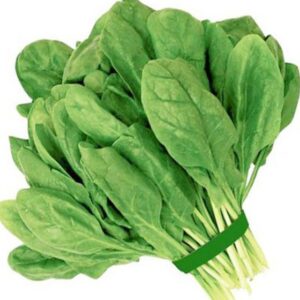 পালং শাক